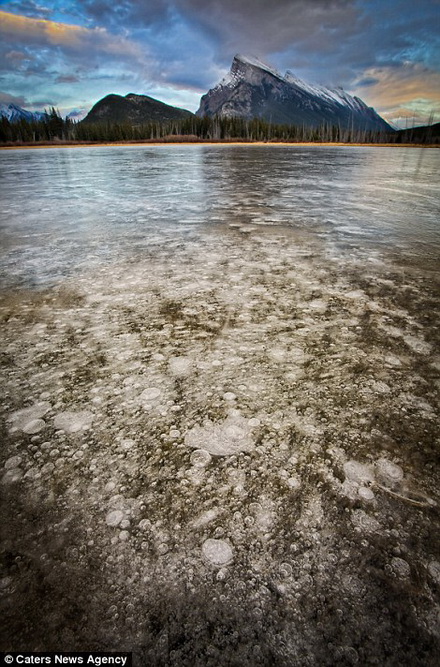 Hồ Abraham là nơi xuất hiện nhiều bong bóng khí metan nhất.